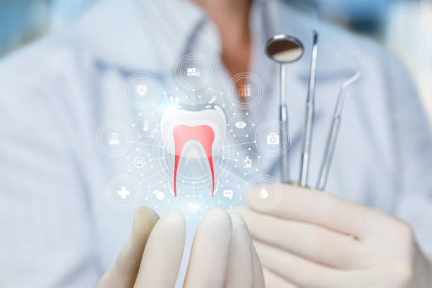 Reliable Fair Grove, MO  Holistic Dental Services Solutions